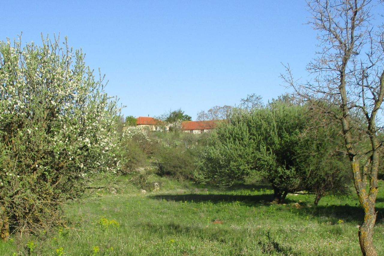 Stone House In A Quiet Landscape, Leonidion Villa Luaran gambar
